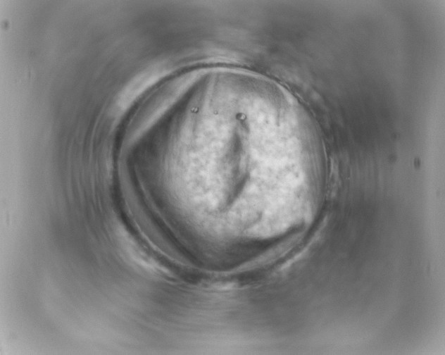 X0000088650247200706152014