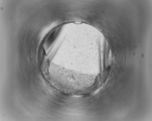 X0000088650248200706152014