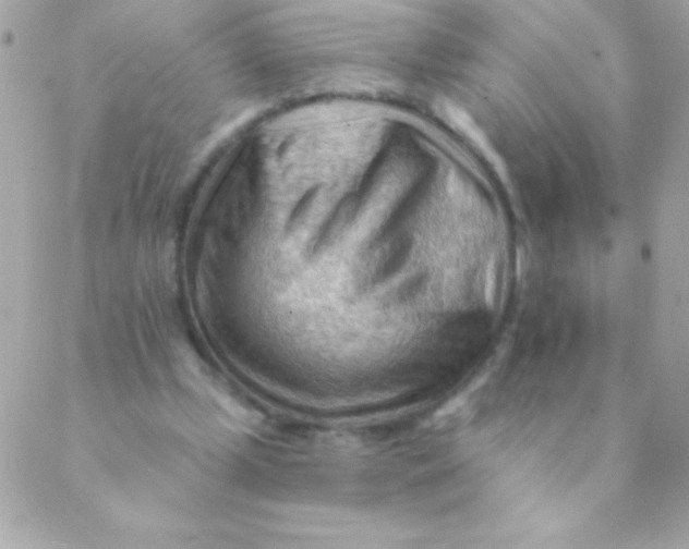 X0000088650249200706152014