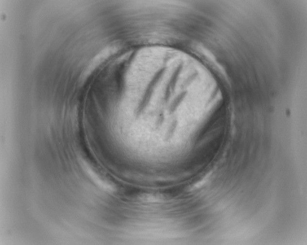 X0000088650250200706152014