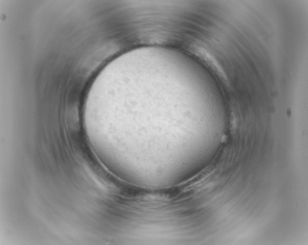 X0000088650251200706152014