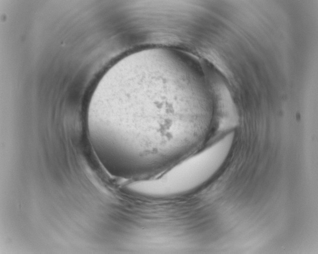 X0000088650252200706152014