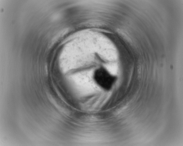 X0000088650254200706152015