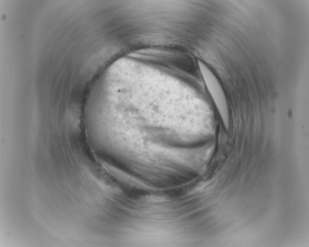 X0000088650255200706152015