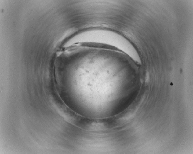 X0000088650256200706152015