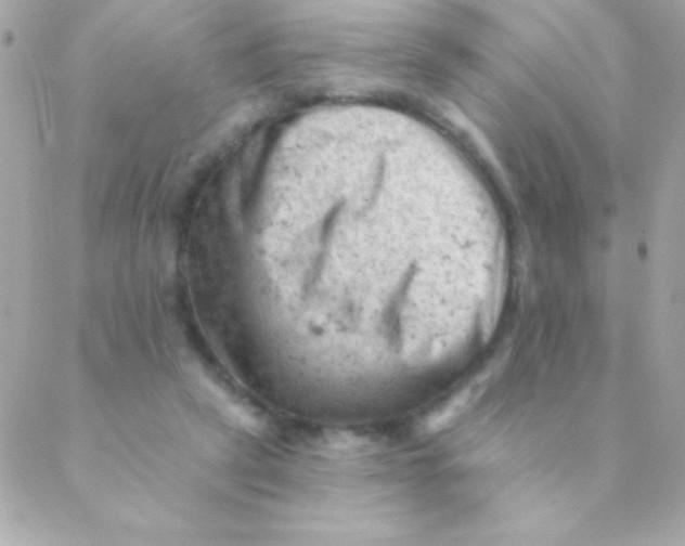 X0000088650257200706152015