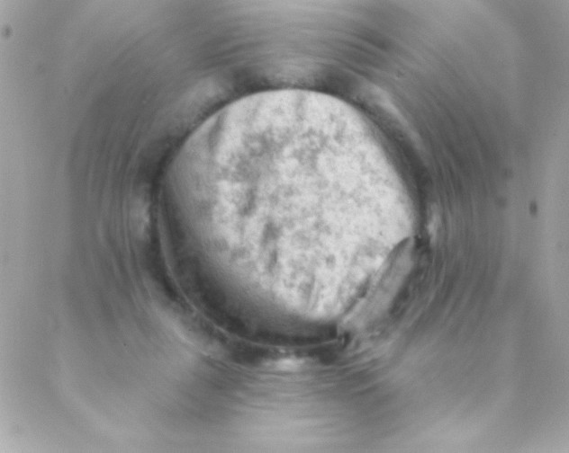 X0000088650259200706152015