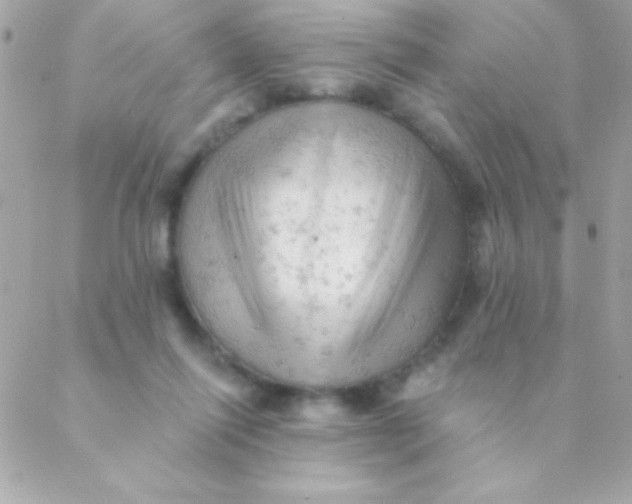 X0000088650262200706152015