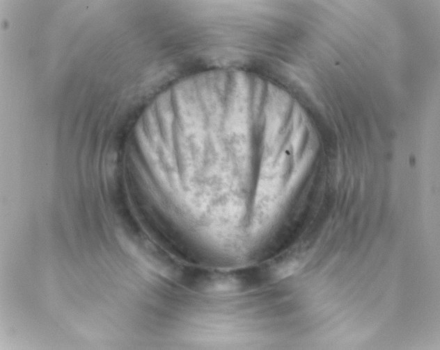 X0000088650263200706152015