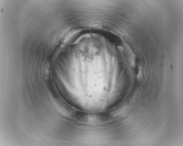 X0000088650264200706152015