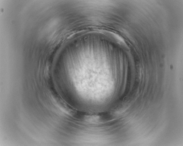 X0000088650266200706152015