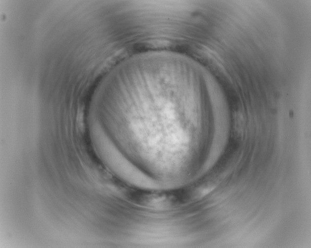 X0000088650267200706152015