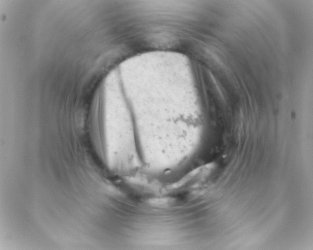 X0000088650268200706152015