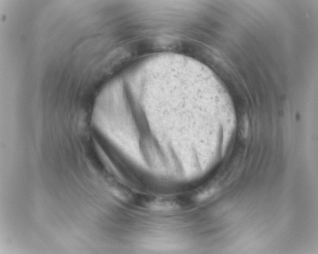 X0000088650270200706152015