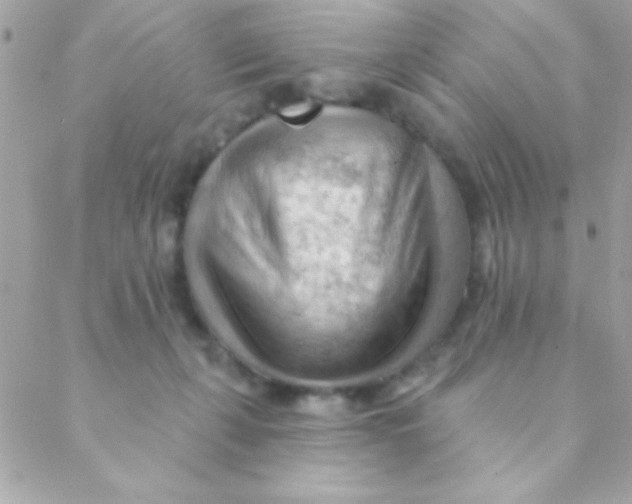 X0000088650271200706152015