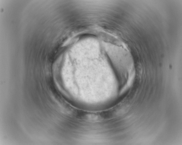 X0000088650272200706152015