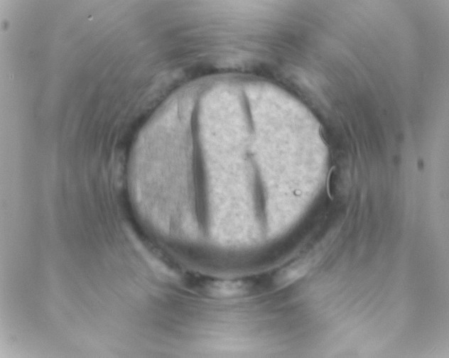 X0000088650273200706152015