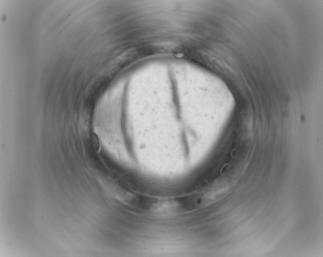 X0000088650274200706152015