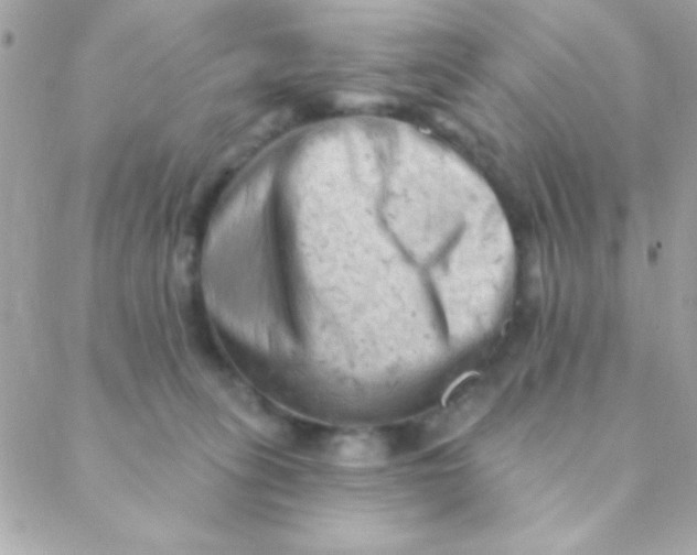 X0000088650275200706152015