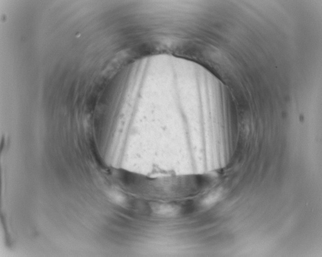 X0000088650276200706152015