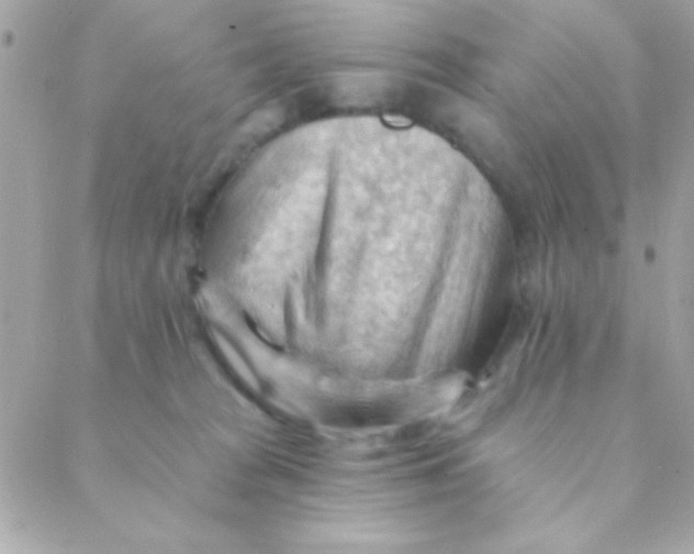 X0000088650277200706152015