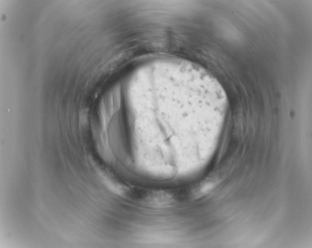 X0000088650278200706152015