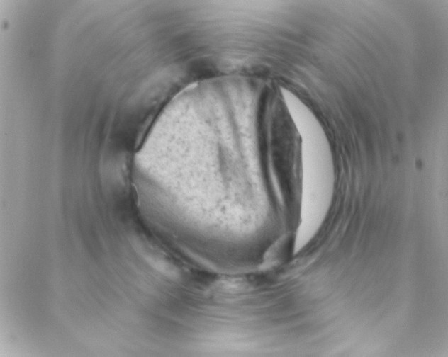 X0000088650280200706152015