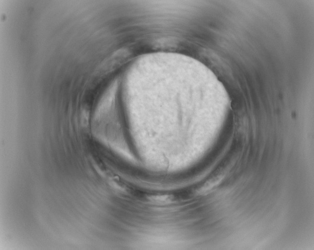 X0000088650281200706152015