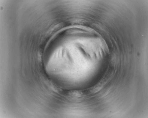 X0000088650282200706152015