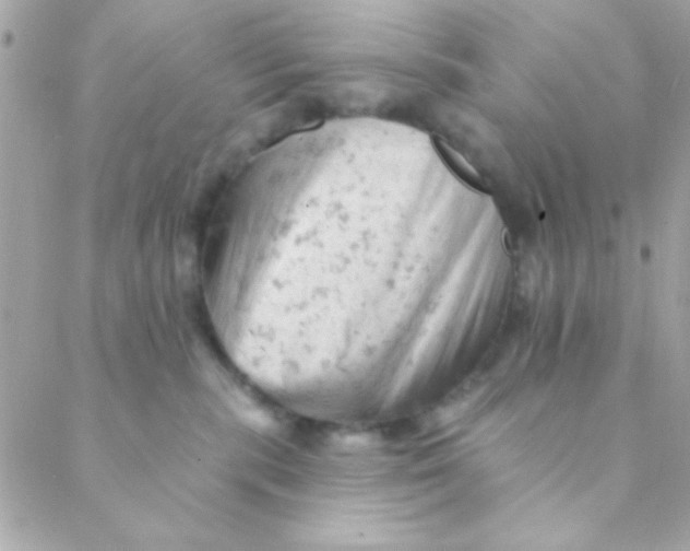 X0000088650283200706152015