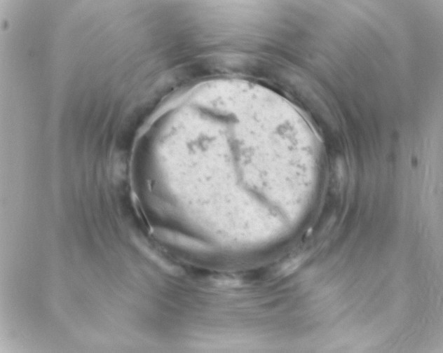 X0000088650284200706152015