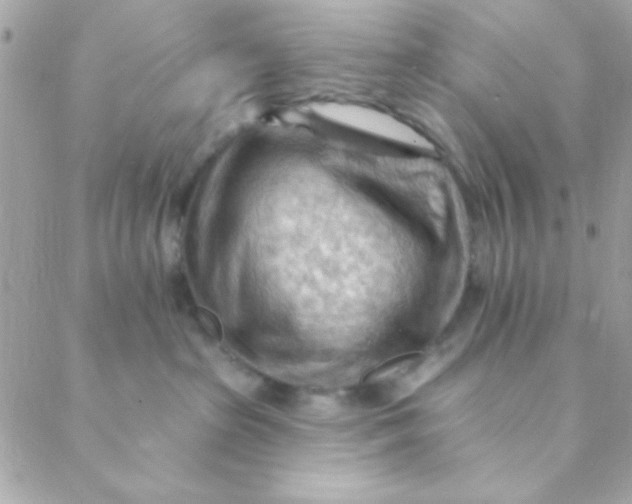 X0000088650285200706152015