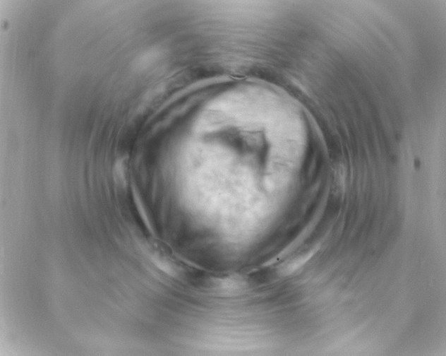 X0000088650286200706152015