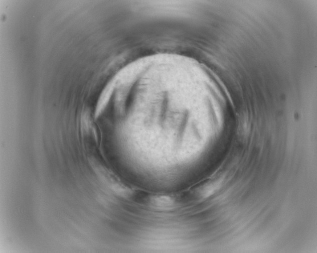 X0000088650287200706152015