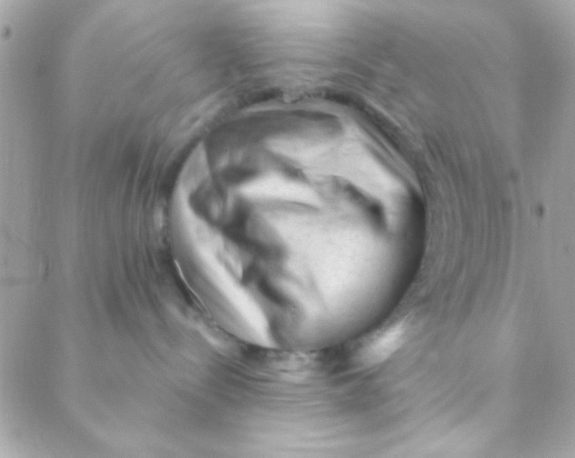 X0000088650288200706152015