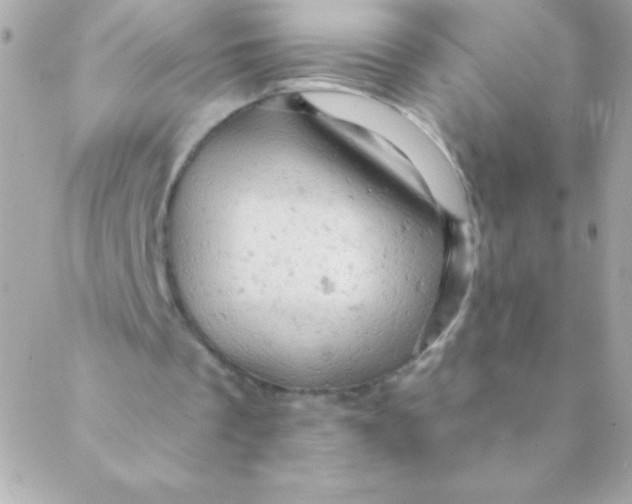 X0000088650289200706152014