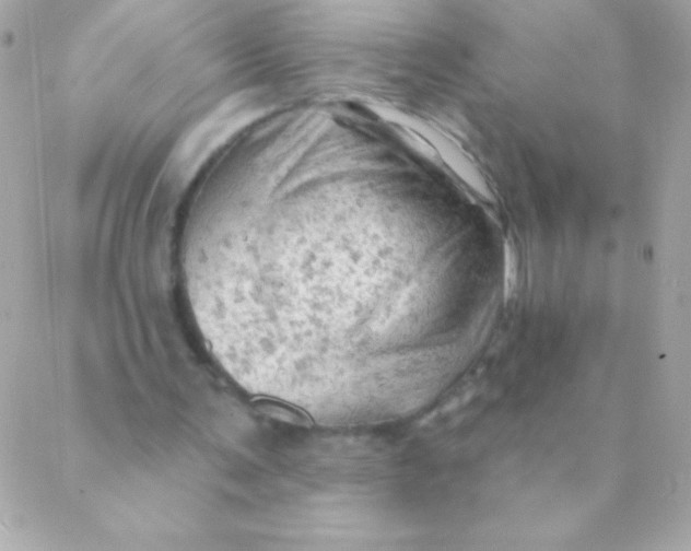 X0000088650291200706152014