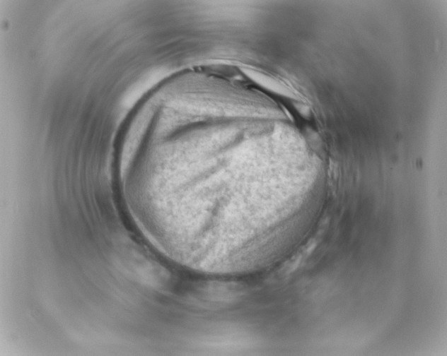 X0000088650292200706152014