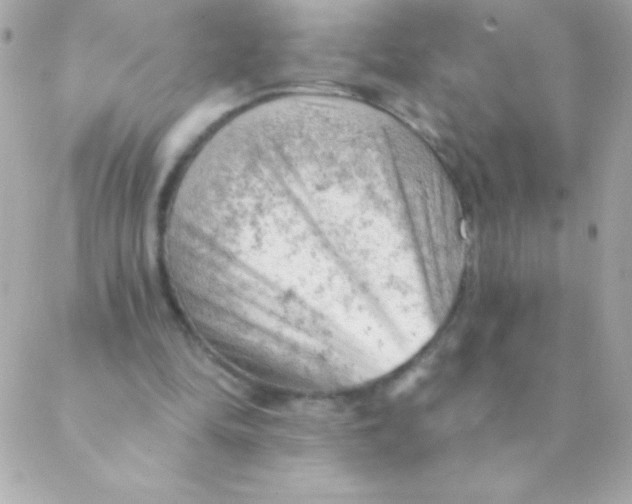 X0000088650294200706152014