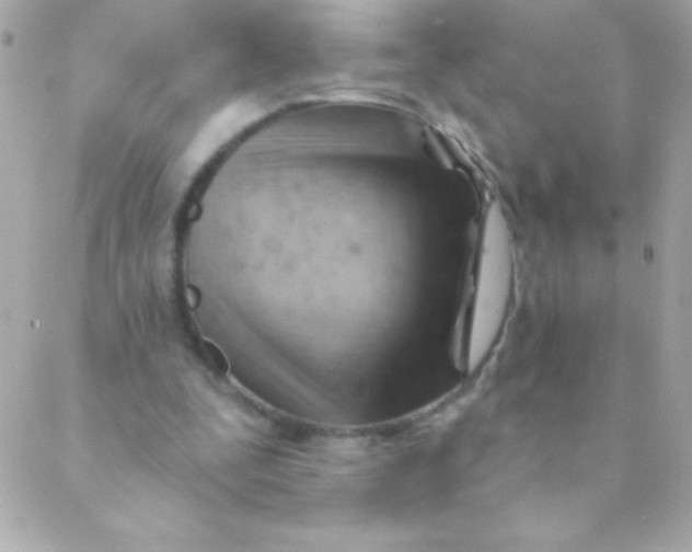 X0000088650295200706152014