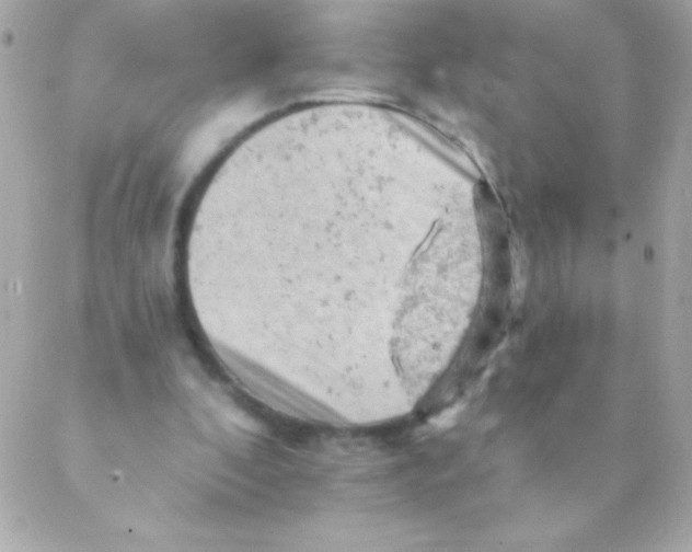 X0000088650296200706152014