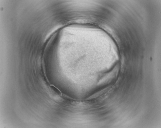 X0000088650297200706152014