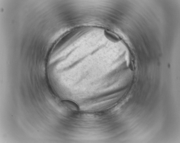 X0000088650298200706152014