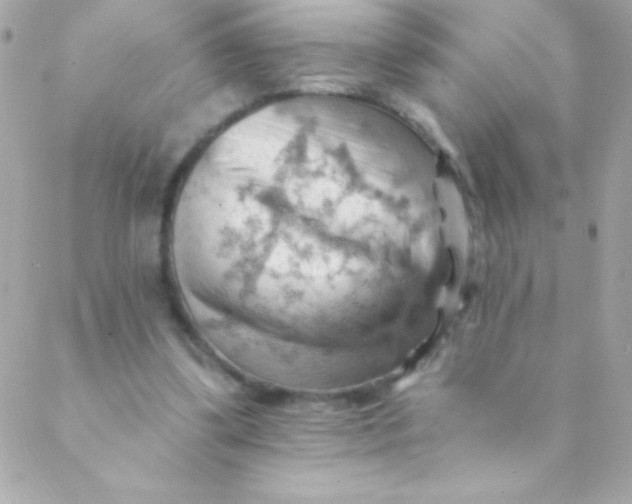 X0000088650299200706152014