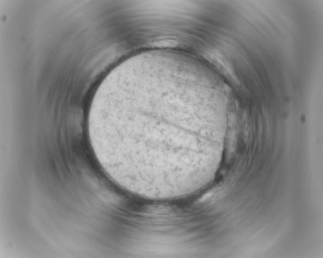 X0000088650300200706152014