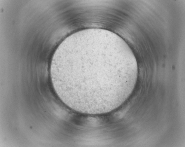 X0000088650302200706152014