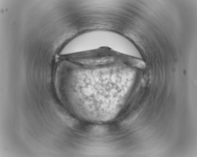 X0000088650303200706152014