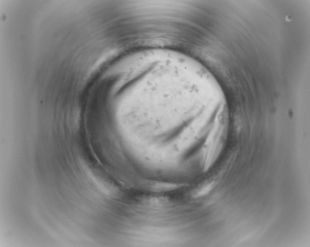 X0000088650304200706152014