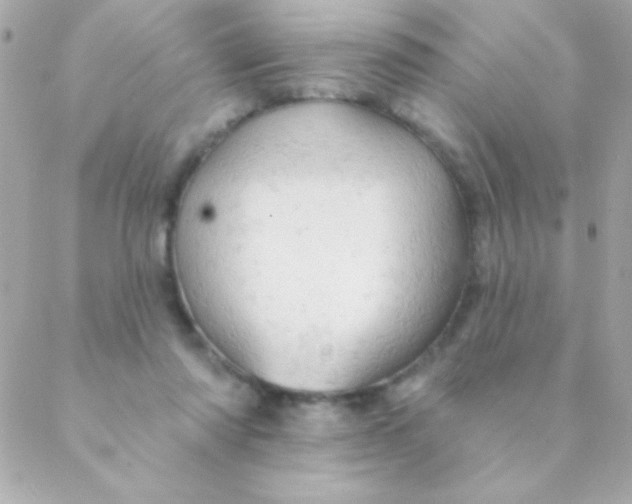 X0000088650310200706152014