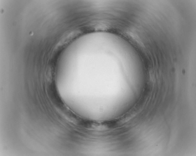 X0000088650311200706152014